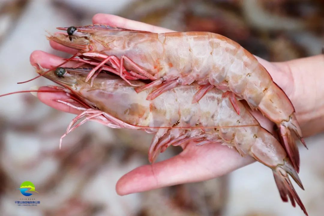 威海港式美食广场_威海港式早茶_威海美食街